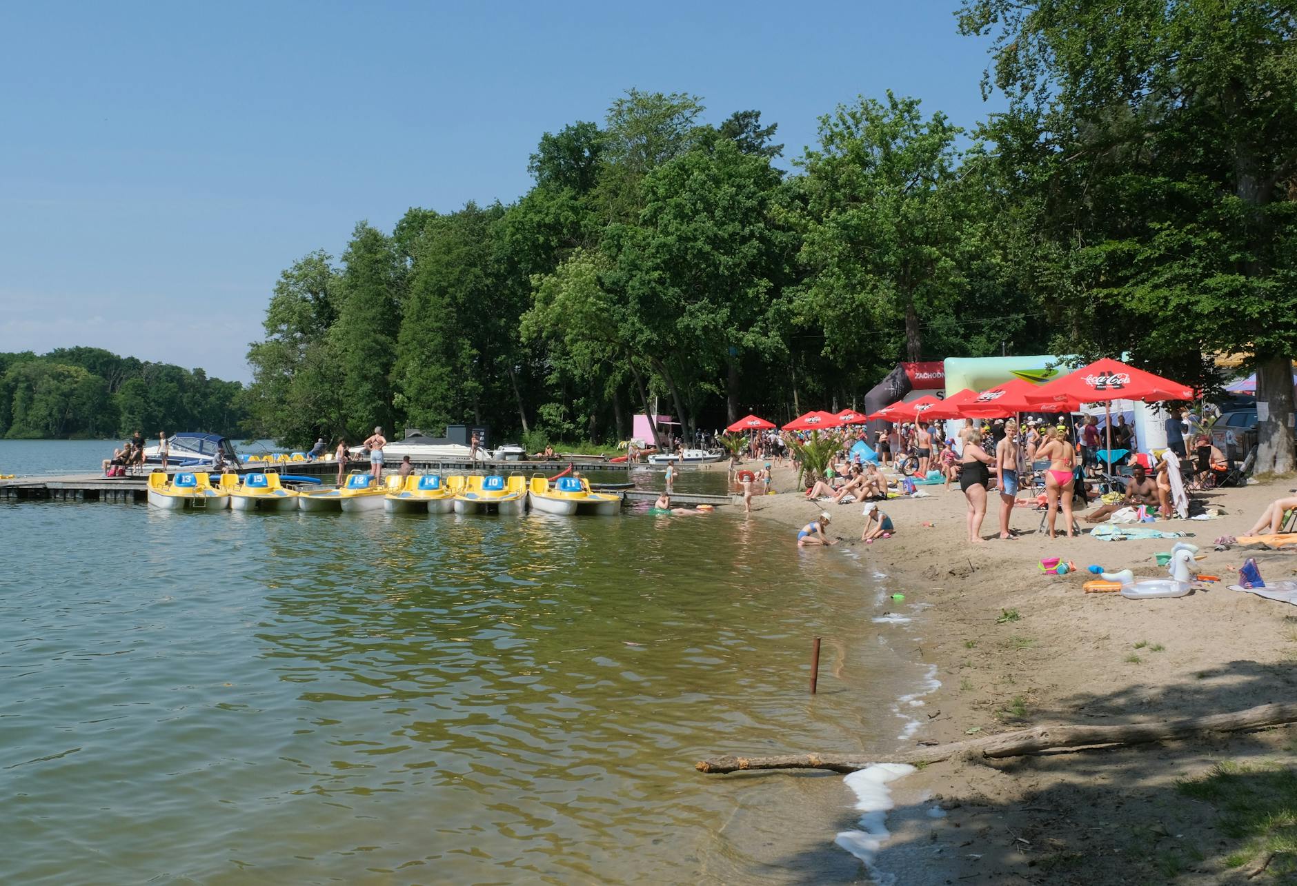 Widok na jezioro Jeziorak w Iławie podczas słonecznego dnia, z łodziami na wodzie i zielenią na brzegu.